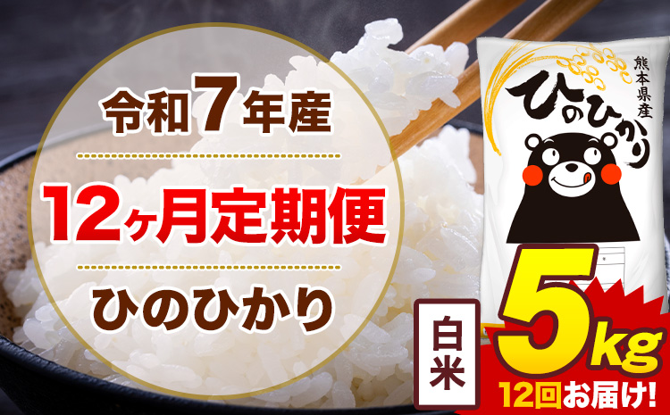 【12ヶ月定期便】令和7年産 白米 5kg 米 ひのひかり《お申込み翌月から出荷》熊本県 菊池市 国産 熊本県産 白米 精米 無洗米 送料無料 ヒノヒカリ こめ お米---300-5080---