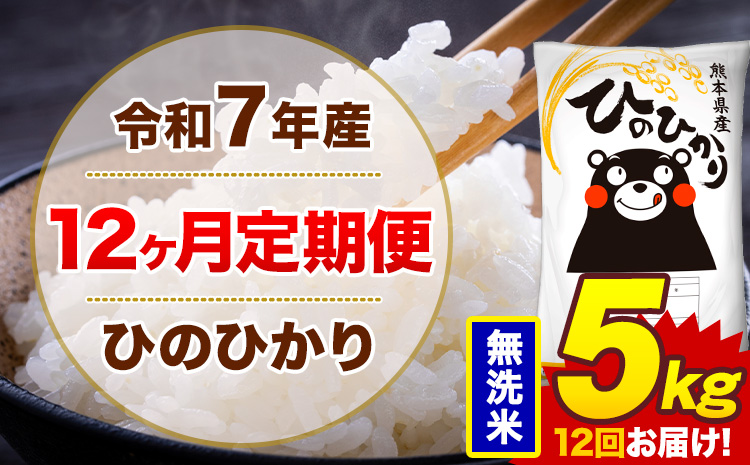 【12ヶ月定期便】令和7年産 無洗米 5kg 米 ひのひかり《お申込み翌月から出荷》熊本県 菊池市 国産 熊本県産 白米 精米 無洗米 送料無料 ヒノヒカリ こめ お米---300-4258---