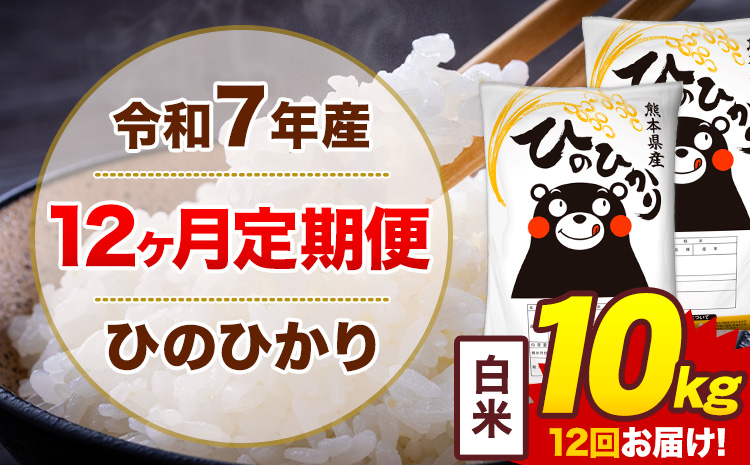【12ヶ月定期便】令和7年産 白米 10kg 米 ひのひかり《お申込み翌月から出荷》熊本県 菊池市 国産 熊本県産 白米 精米 無洗米 送料無料 ヒノヒカリ こめ お米---300-5082---