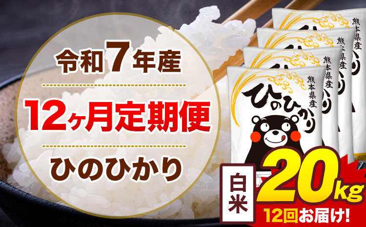 【12ヶ月定期便】令和7年産 白米 20kg 米 ひのひかり《お申込み翌月から出荷》熊本県 菊池市 国産 熊本県産 白米 精米 無洗米 送料無料 ヒノヒカリ こめ お米---300-5084---