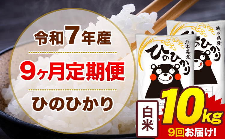 【9ヶ月定期便】米 ひのひかり 白米 定期便 10kg 《お申込み翌月から出荷》熊本県 菊池市 国産 熊本県産 白米 精米 送料無料 ヒノヒカリ こめ お米---300-4294---