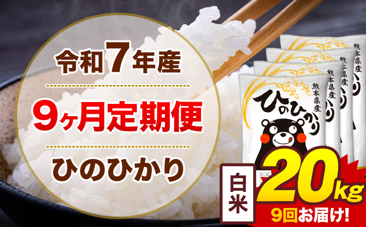 【9ヶ月定期便】米 ひのひかり 白米 定期便 20kg 《お申込み翌月から出荷》熊本県 菊池市 国産 熊本県産 白米 精米 送料無料 ヒノヒカリ こめ お米---300-4298---