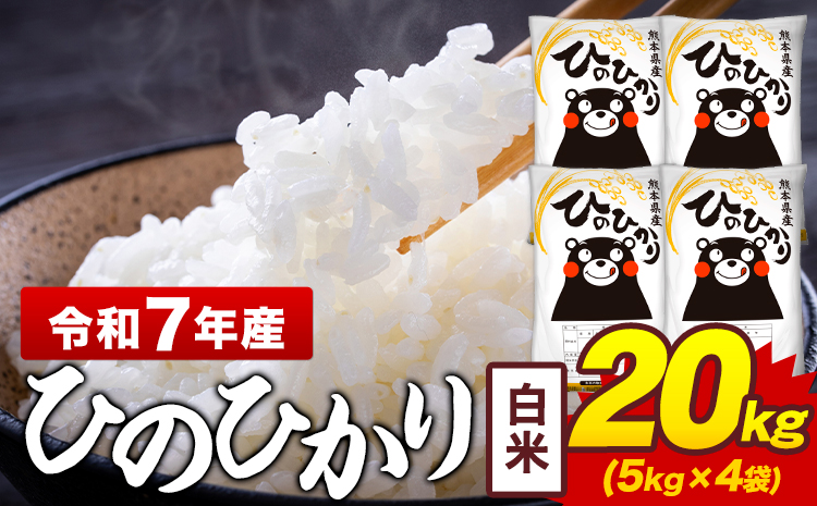 令和7年産 白米 米 ひのひかり 20kg《7-14日以内に出荷予定(土日祝除く)》熊本県 菊池市 国産 熊本県産 白米 精米 送料無料 ヒノヒカリ こめ お米 ---300-5064---