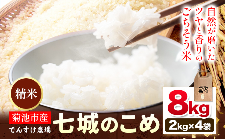 令和7年産 精米 七城のこめ 8kg《30日以内に出荷予定(土日祝除く)》熊本県 菊池市 米 白米 ヒノヒカリ でんすけ農場---309-4004---