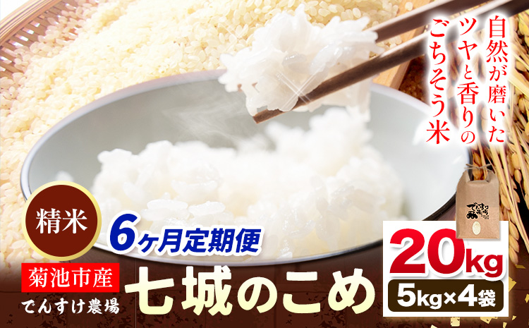 【6ヶ月定期便】令和7年産 精米 七城のこめ 20kg《お申込み翌月から出荷》熊本県 菊池市 米 白米 ヒノヒカリ でんすけ農場---309-4021---
