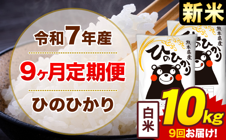 【9ヶ月定期便】米 ひのひかり 白米 定期便 10kg 《お申込み翌月から出荷》熊本県 菊池市 国産 熊本県産 白米 精米 送料無料 ヒノヒカリ こめ お米---300-4294---