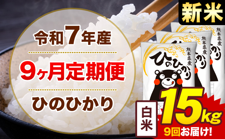 【9ヶ月定期便】米 ひのひかり 白米 定期便 15kg 《お申込み翌月から出荷》熊本県 菊池市 国産 熊本県産 白米 精米 送料無料 ヒノヒカリ こめ お米---300-4296---
