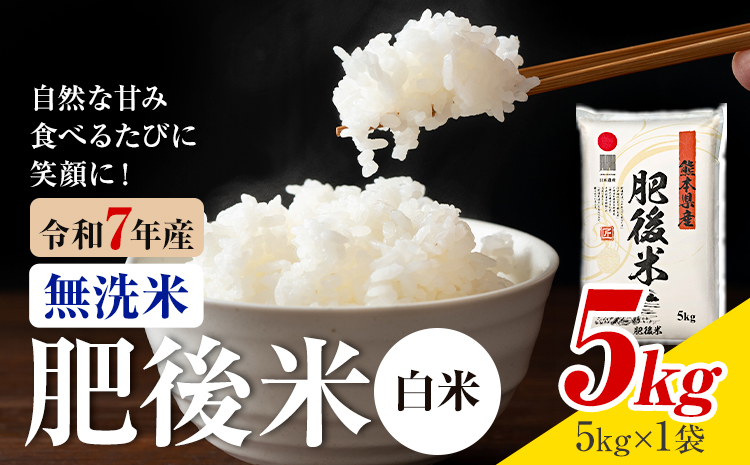 令和7年産 熊本県産 肥後米 白米 5kg 1袋5kg 株式会社くまもとごはん 《30日以内に出荷予定(土日祝除く)》米 お米 令和7年産 九州産 熊本県産  送料無料---026-3005---