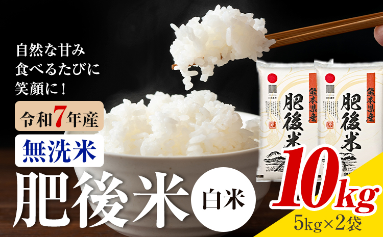 令和7年産 熊本県産 肥後米 白米 10kg 1袋5kg 株式会社くまもとごはん 《30日以内に出荷予定(土日祝除く)》米 お米 令和7年産 九州産 熊本県産 送料無料---026-3006---