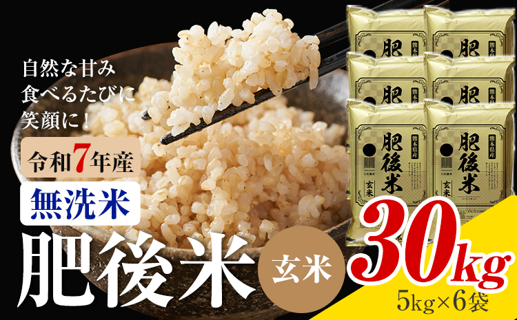 熊本県産 肥後米 無洗米 玄米 30kg 1袋5kg 米 お米 令和7年産 九州産 熊本県産 ブレンド米 送料無料《30日以内に出荷予定（土日祝除く）》玄米 無洗米 米---026-3016---