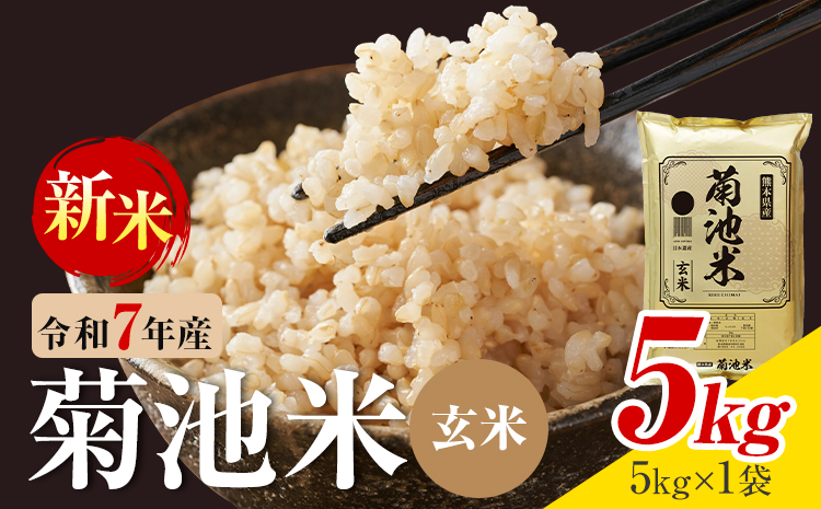 令和7年産 熊本県産 菊池米 玄米 5kg 1袋5kg 株式会社くまもとごはん 《30日以内に出荷予定(土日祝除く)》米 お米 令和7年産 九州産 熊本県産  送料無料---026-5039---