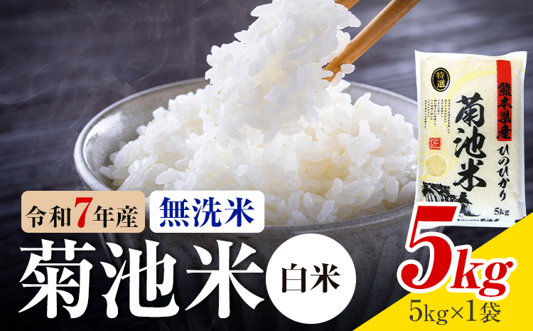 令和7年産 熊本県産 菊池米 白米 無洗米 5kg 1袋5kg 株式会社くまもとごはん 《30日以内に出荷予定(土日祝除く)》米 お米 令和7年産 九州産 熊本県産  送料無料---026-3074---