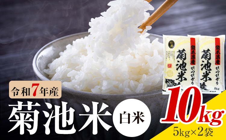 令和7年産 熊本県産 菊池米 白米 10kg 1袋5kg 株式会社くまもとごはん 《30日以内に出荷予定(土日祝除く)》米 お米 令和7年産 九州産 熊本県産  送料無料---026-5031---