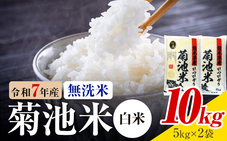令和7年産 熊本県産 菊池米 白米 無洗米 10kg 1袋5kg 株式会社くまもとごはん 《30日以内に出荷予定(土日祝除く)》米 お米 令和7年産 九州産 熊本県産  送料無料---026-3075---