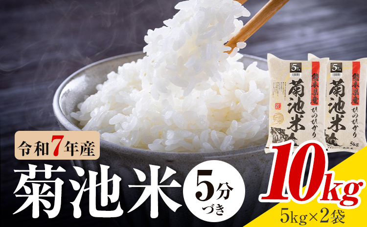 令和7年産 熊本県産 菊池米 5分づき 10kg 1袋5kg 株式会社くまもとごはん 《30日以内に出荷予定(土日祝除く)》米 お米 令和7年産 九州産 熊本県産  送料無料---026-3084---