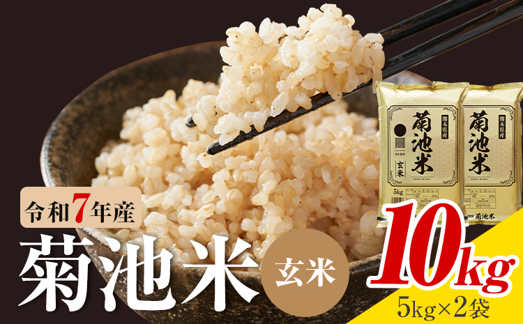 令和7年産 熊本県産 菊池米 玄米 10kg 1袋5kg 株式会社くまもとごはん 《30日以内に出荷予定(土日祝除く)》米 お米 令和7年産 九州産 熊本県産  送料無料---026-5043---