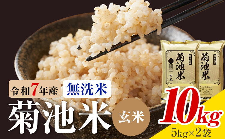 令和7年産 熊本県産 菊池米 無洗米 玄米 10kg 1袋5kg 株式会社くまもとごはん 《30日以内に出荷予定(土日祝除く)》米 お米 令和7年産 九州産 熊本県産  送料無料---026-3087---
