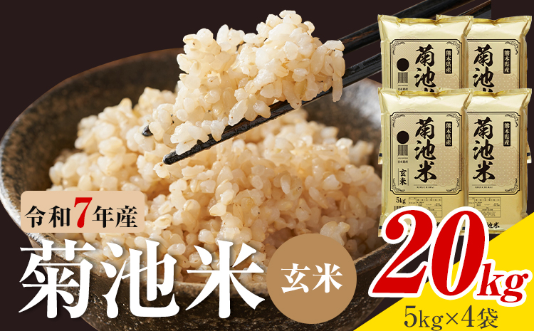 令和7年産 熊本県産 菊池米 玄米 20kg 1袋5kg 株式会社くまもとごはん 《30日以内に出荷予定(土日祝除く)》米 お米 令和7年産 九州産 熊本県産  送料無料---026-5047---