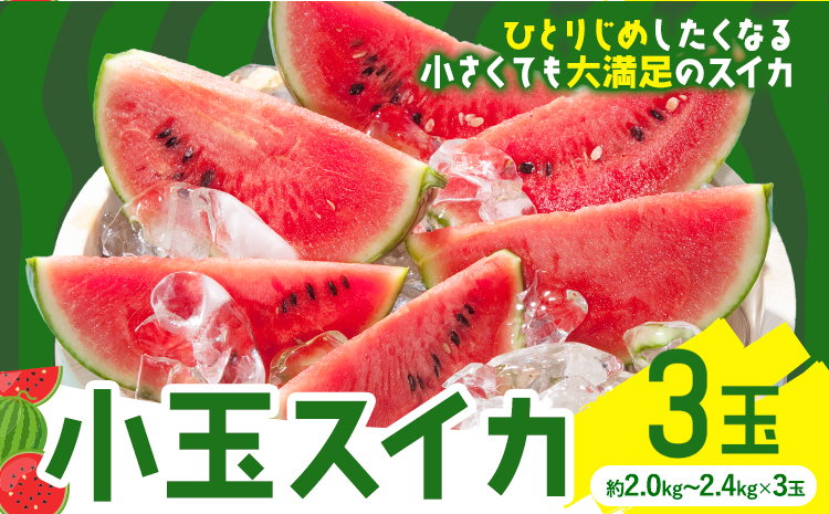 小玉スイカ 3玉【養生市場】 ひとりじめ 果物 フルーツ スイカ 西瓜 九州産 熊本県産 送料無料《2026年4月中旬-5月中旬頃出荷予定》【先行予約】---003-1580---