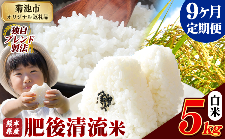 【9ヶ月定期便】熊本県産 肥後清流米 白米 5kg 熊本県産 ふるさと納税 精米 米 こめ ふるさとのうぜい コメ お米 おこめ《お申込み翌月から出荷》---300-4357---