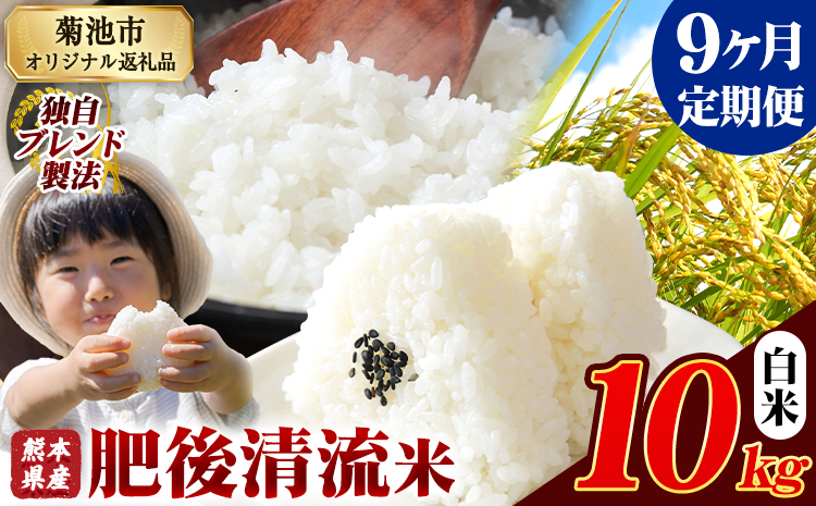 【9ヶ月定期便】熊本県産 肥後清流米 白米 10kg 熊本県産 ふるさと納税 精米 米 こめ ふるさとのうぜい コメ お米 おこめ《お申込み翌月から出荷》---300-4359---