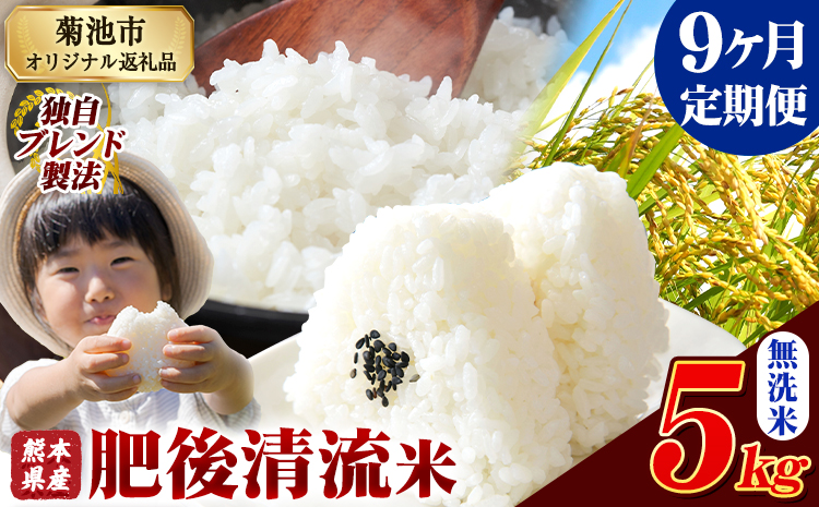 【9ヶ月定期便】熊本県産 肥後清流米 無洗米 5kg 熊本県産 ふるさと納税 精米 米 こめ ふるさとのうぜい コメ お米 おこめ《お申込み翌月から出荷》---300-4358---