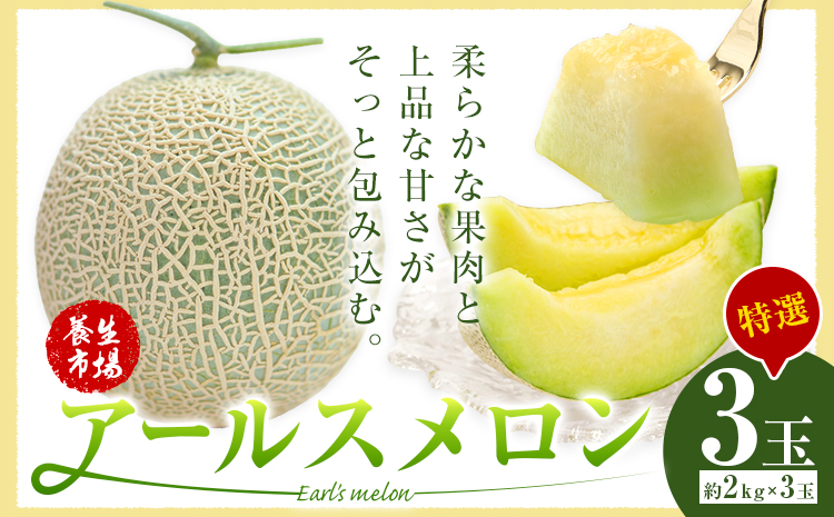アールスメロン 約2kg×3玉 特選 (約6kg)【養生市場】メロン 果物 フルーツ マスクメロン 九州産 熊本県産 送料無料 《2026年10月中旬-11月中旬頃出荷予定》---003-1152---