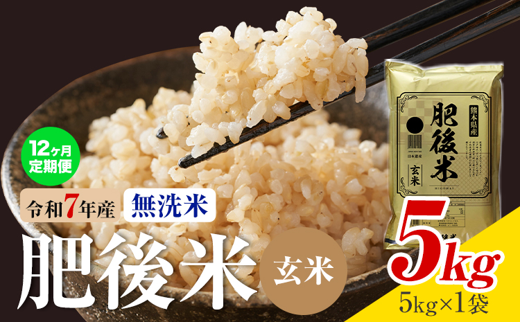 【12ヶ月定期便】熊本県産 肥後米 無洗米 玄米 5kg 1袋5kg 米 お米 令和7年産 九州産 熊本県産 送料無料《お申込み翌月に出荷予定》玄米 無洗米 米---026-3012mo12---