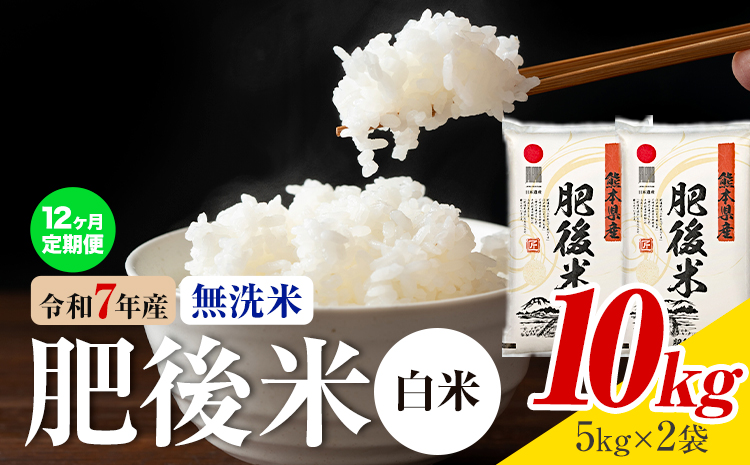 【12ヶ月定期便】熊本県産 肥後米 無洗米 白米 10kg 1袋5kg 米 お米 令和7年産 九州産 熊本県産 送料無料《お申込み翌月に出荷予定》】 無洗米 白米 米---026-3006mo12---