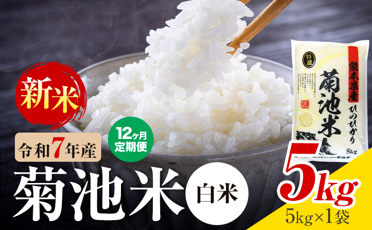 【12ヶ月定期便】熊本県産  白米 5kg 1菊池米袋5kg 米 お米 令和7年産 九州産 熊本県産 送料無料《お申込み翌月に出荷予定》 白米 米---026-5030---