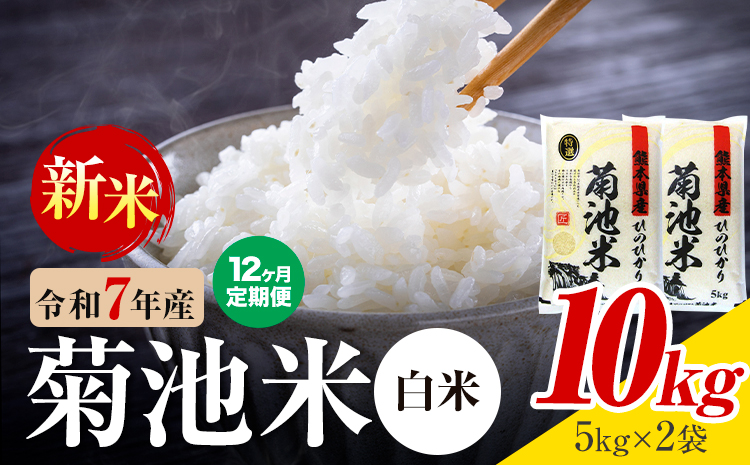 【12ヶ月定期便】熊本県産 菊池米 白米 10kg 1袋5kg 米 お米 令和7年産 九州産 熊本県産 送料無料《お申込み翌月に出荷予定》 白米 米---026-5034---