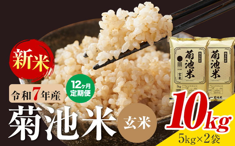 【12ヶ月定期便】熊本県産 菊池米 玄米 10kg 1袋5kg 米 お米 令和7年産 九州産 熊本県産 送料無料《お申込み翌月に出荷予定》玄米 米---026-5046---