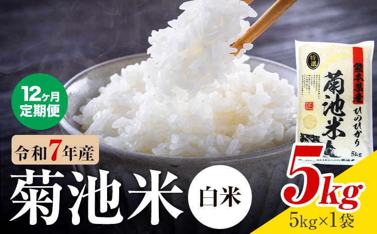 【12ヶ月定期便】熊本県産  白米 5kg 1菊池米袋5kg 米 お米 令和7年産 九州産 熊本県産 送料無料《お申込み翌月に出荷予定》 白米 米---026-5030---