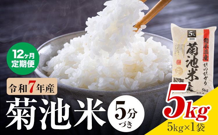 【12ヶ月定期便】令和7年産 熊本県産 菊池米 5分づき 5kg 1袋5kg 株式会社くまもとごはん 《お申込み翌月に出荷予定》米 お米 令和7年産 九州産 熊本県産  送料無料---026-3131mo12---