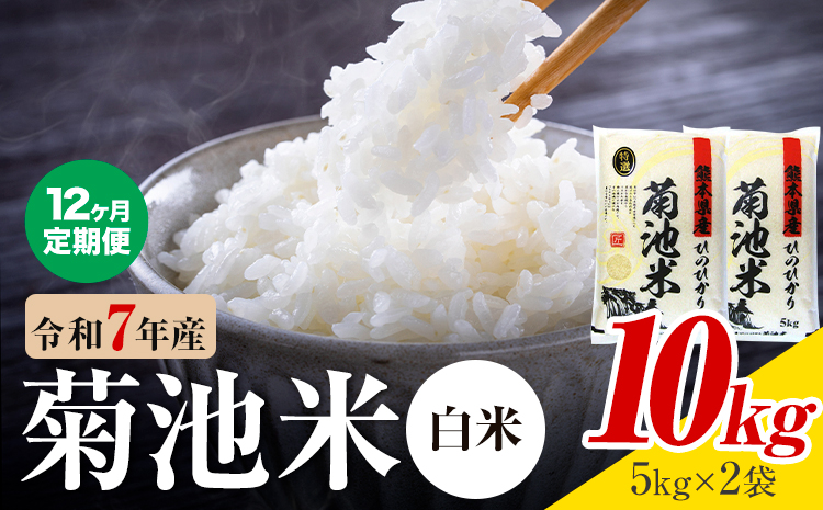 【12ヶ月定期便】熊本県産 菊池米 白米 10kg 1袋5kg 米 お米 令和7年産 九州産 熊本県産 送料無料《お申込み翌月に出荷予定》 白米 米---026-5034---