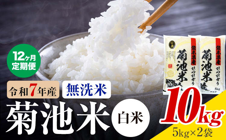 【12ヶ月定期便】熊本県産 菊池米 白米 無洗米 10kg 1袋5kg 米 お米 令和7年産 九州産 熊本県産 送料無料《お申込み翌月に出荷予定》 白米 米---026-3096mo12---