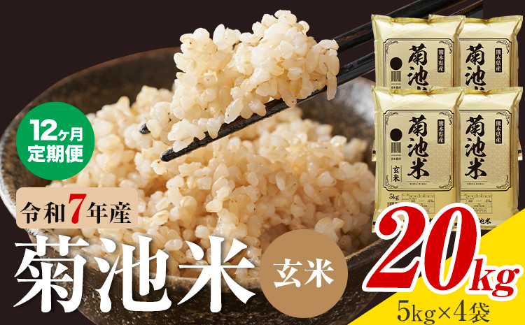 【12ヶ月定期便】熊本県産 菊池米 玄米 20kg 1袋5kg 米 お米 令和7年産 九州産 熊本県産 送料無料《お申込み翌月に出荷予定》玄米 米---026-5050---
