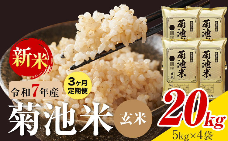 【3ヶ月定期便】熊本県産 菊池米 玄米 20kg 1袋5kg 米 お米 令和7年産 九州産 熊本県産  送料無料《お申込み翌月に出荷予定》玄米 米---026-5048---