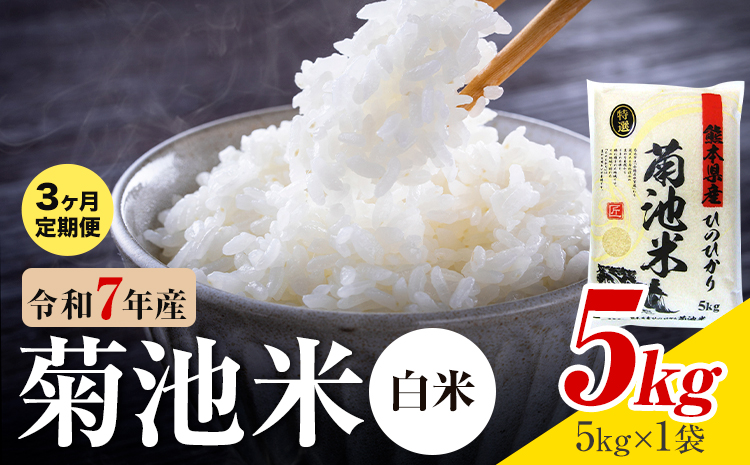 【3ヶ月定期便】熊本県産 菊池米 白米 5kg 1袋5kg 米 お米 令和7年産 九州産 熊本県産 送料無料《お申込み翌月に出荷予定》 白米 米---026-5028---