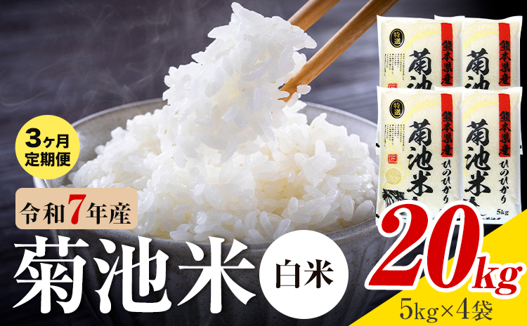【3ヶ月定期便】熊本県産 菊池米 白米 20kg 1袋5kg 米 お米 令和7年産 九州産 熊本県産  送料無料《お申込み翌月に出荷予定》 白米 米---026-5036---