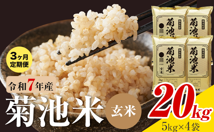 【3ヶ月定期便】熊本県産 菊池米 玄米 20kg 1袋5kg 米 お米 令和7年産 九州産 熊本県産  送料無料《お申込み翌月に出荷予定》玄米 米---026-5048---