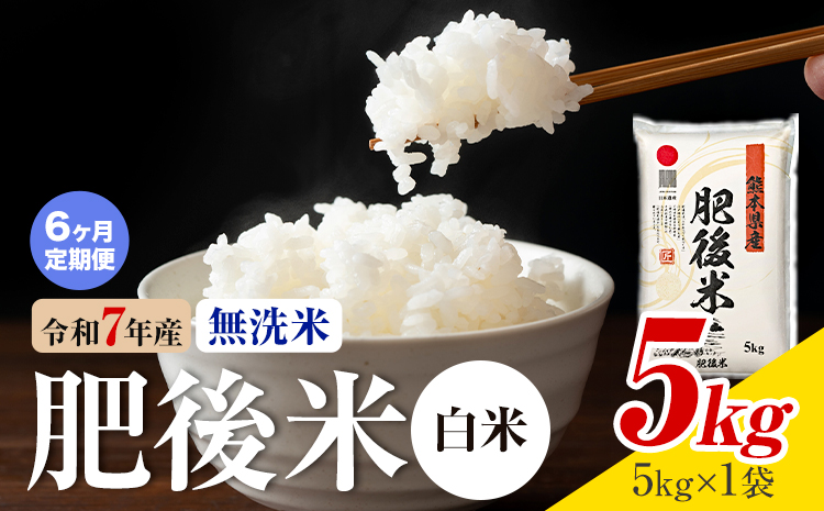 【6ヶ月定期便】熊本県産 肥後米 無洗米 白米 5kg 1袋5kg 米 お米 令和7年産 九州産 熊本県産 送料無料《お申込み翌月に出荷予定》 無洗米 白米 米---026-3005mo6---