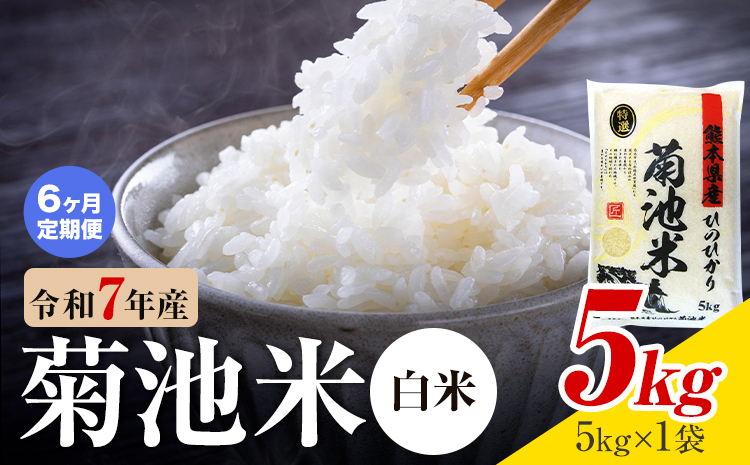 【6ヶ月定期便】熊本県産 菊池米 白米 5kg 1袋5kg 米 お米 令和7年産 九州産 熊本県産 送料無料《お申込み翌月に出荷予定》 白米 米---026-5029---