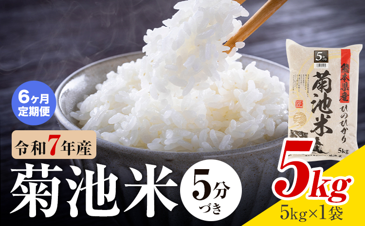 【6ヶ月定期便】令和7年産 熊本県産 菊池米 5分づき 5kg 1袋5kg 株式会社くまもとごはん 《お申込み翌月に出荷予定》米 お米 令和7年産 九州産 熊本県産  送料無料---026-3128mo6---
