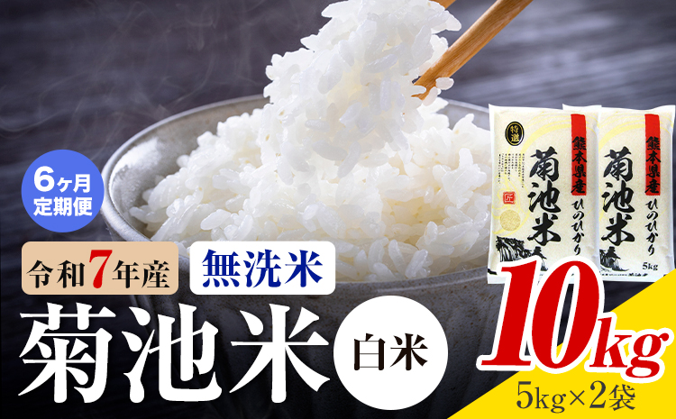 【6ヶ月定期便】熊本県産 菊池米 白米 無洗米 10kg 1袋5kg 米 お米 令和7年産 九州産 熊本県産 送料無料《お申込み翌月に出荷予定》 白米 米---026-3093mo6---