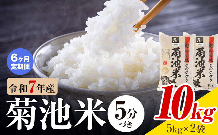 【6ヶ月定期便】令和7年産 熊本県産 菊池米 5分づき 10kg 1袋5kg 株式会社くまもとごはん 《お申込み翌月に出荷予定》米 お米 令和7年産 九州産 熊本県産  送料無料---026-3129mo6---