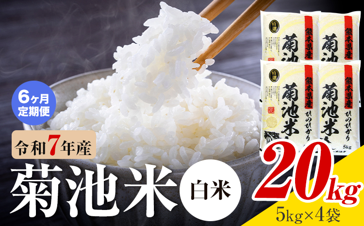 【6ヶ月定期便】熊本県産 菊池米 白米 20kg 1袋5kg 米 お米 令和7年産 九州産 熊本県産 送料無料《お申込み翌月に出荷予定》  白米 米---026-5037---