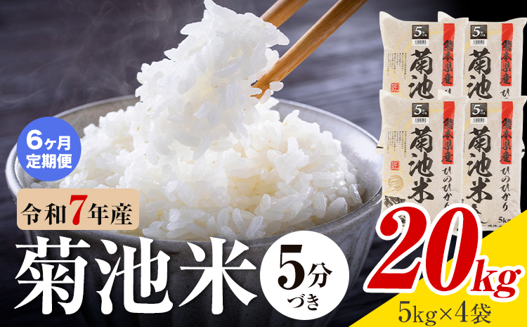 【6ヶ月定期便】令和7年産 熊本県産 菊池米 5分づき 20kg 1袋5kg 株式会社くまもとごはん 《お申込み翌月に出荷予定》米 お米 令和7年産 九州産 熊本県産  送料無料---026-3130mo6---