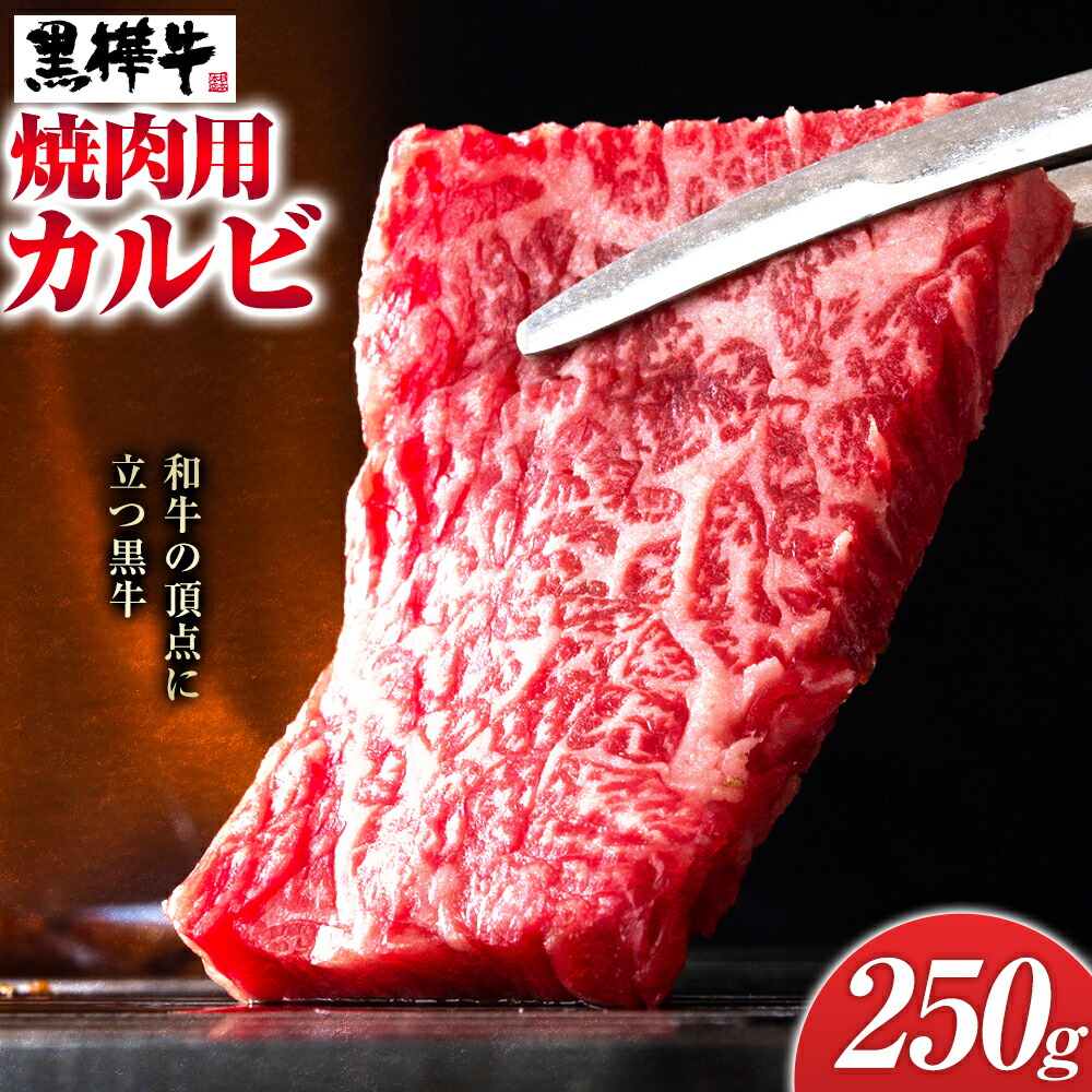 くまもと黒毛和牛 黒樺牛 A4～A5等級 焼肉用カルビ 250g 株式会社杉本本店 《90日以内に出荷(土日祝除く)》熊本県 菊池市 牛肉 牛 霜降り 赤身 お肉 焼き肉 BBQ 黒毛和牛 国産 九州産 熊本県産 冷凍 送料無料---090-2457---