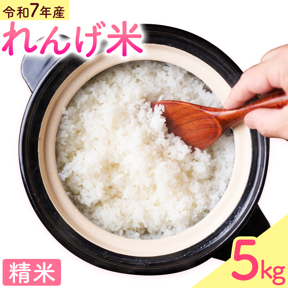 熊本県菊池市産のれんげ米 5kg 《30日以内に出荷予定(土日祝除く)》  精米方法 精米 お米 白米 レンゲ米 熊本県産 九州産 送料無料---313-0001---